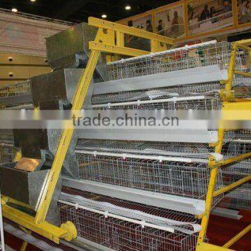 Layer Chicken Cages for Poultry Farm