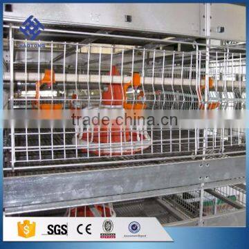 30 Years' Factory Supply Automatic Chicken Watering Systems photo-6