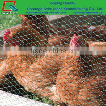 poultry netting(manufacturer&top quality&low price)