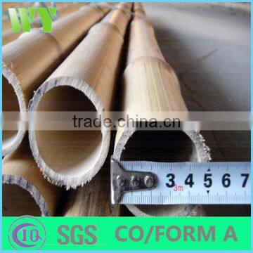 WY-198 Wholesale natural straight moso Bamboo poles with decorative plants growing and construction