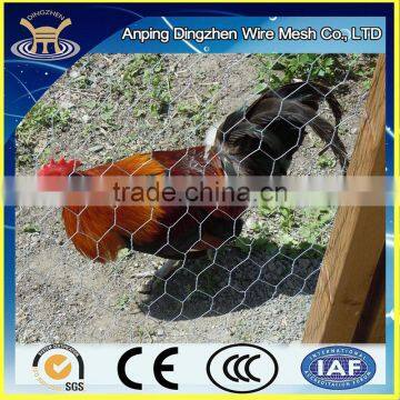 Cheap galvanized chicken wire cage mesh