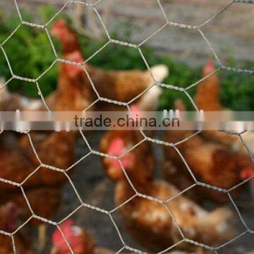 Galvanized mesh roll lowes chicken wire mesh coop kenya