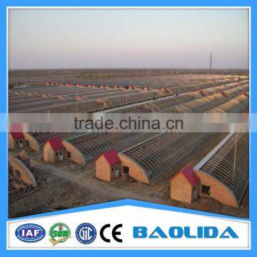 Hot Sale Poly Tunnel Greenhouse for Sale photo-2