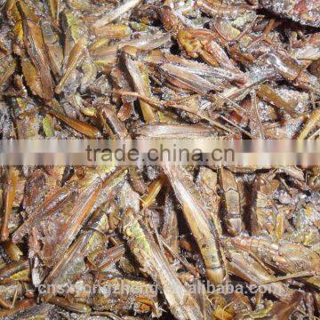 Pet Food Fish Food Freeze Dried Crickets photo-3