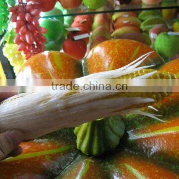 NEW DESIGN 2011 Hot Selling Natural Popular vegetable decoration painting