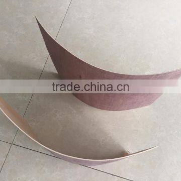China New Products Bending Plywood for Chair Making photo-5