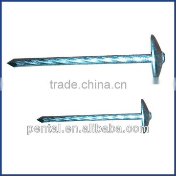 RZJS-0002 Steel Roofing Nail