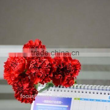 natural large bud size Fresh Cut Carnation for Valentine's Day