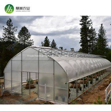 High tunnel hot dip galvanized steel arch pipe greenhouse frame for USA