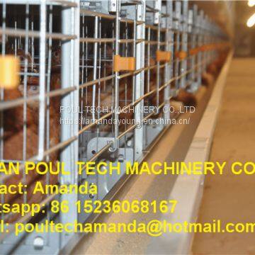 South Africa Chicken Farming Full Automatic H Frame Layer Cage & Chicken Cage & Laying Hen Cage for Egg Production in Chicken Shed