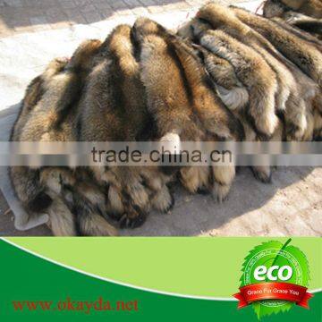 Genuine Raccoon Fur Collar