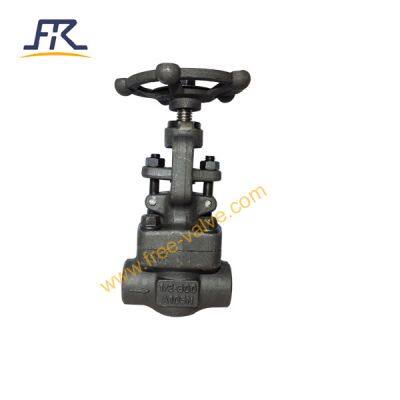 Socked Welding Type Globe Valve