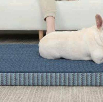 Chaise Lounge Bed photo-2