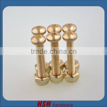 Skateboard long board hardware bolts