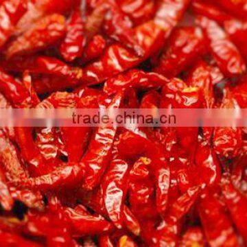 DRIED CHILLI POWDER FROM VIET NAM photo-3