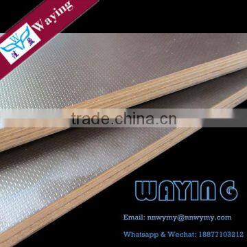 eucalyptus plywood