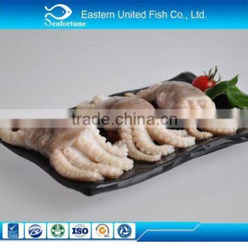 hot sale export high quality live baby octopus