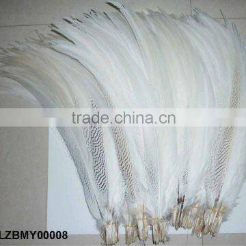 silver pheasant tail feathers LZBMY00008