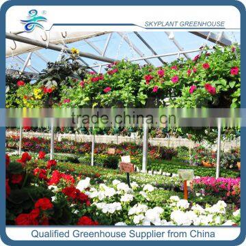 Large Venlo Glass Horticultural Greenhouse