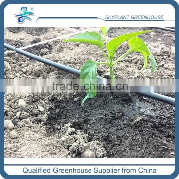 Greenhouse Drip Irrigation for Vegetables                        
                                                Quality Choice