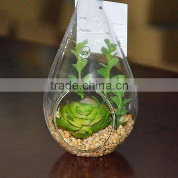 Hanging Glass Terrarium Necklace Decorative Succulent Plants Tropical Plants photo-3