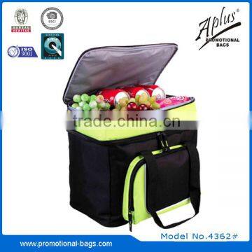 Fashion Pure Color PP Woven Tape Padded Handle Cooler Bag photo-4