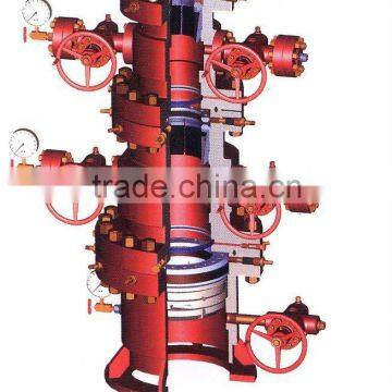 Dual Completion Wellhead