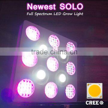 Newly Released SOLO 600w Full Spectrum LED Grow Light for 420/weed/hemp growing