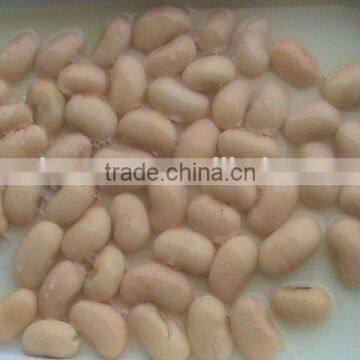 Organic canned white kidney beans