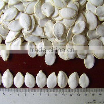 Varied Snow White Pumpkin Seeds are salable