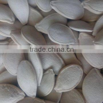 Chinese Green-tea flavor white pumpkin seeds kernels for sale