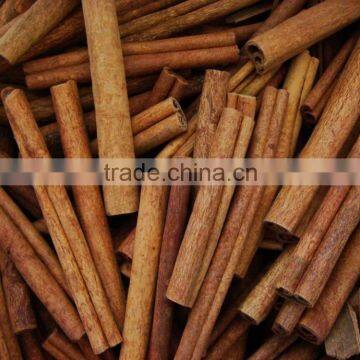 Cassia Stick