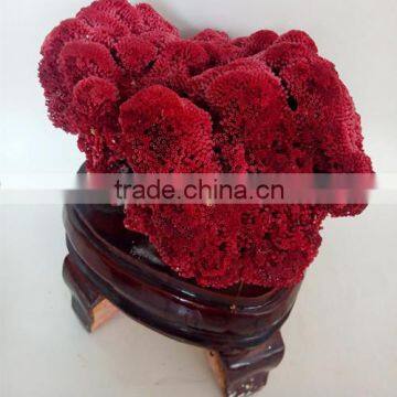 beautiful carving red gemstone for decoration