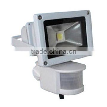 LED Flood Light NT010-1