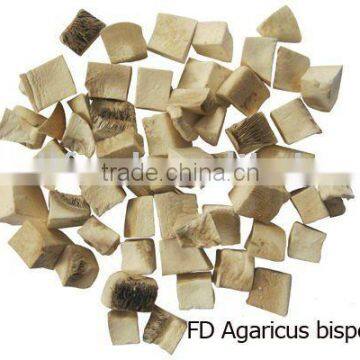 FD agaricus bisporus dice