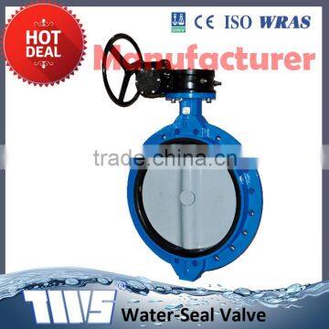 Alibaba supplier ANSI standard butterfly valve