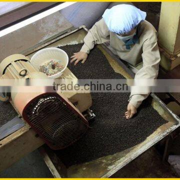 Vietnam Black Pepper 500g/l FAQ/ Spiral Cleaned/ETO (Viber/Whatsaap: +84965152844)