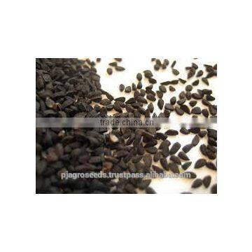 Hybrid Onion Seeds photo-6