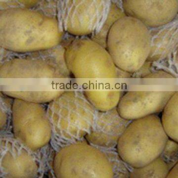 Chinese Fresh Potato in High Quality and Deep Processing
