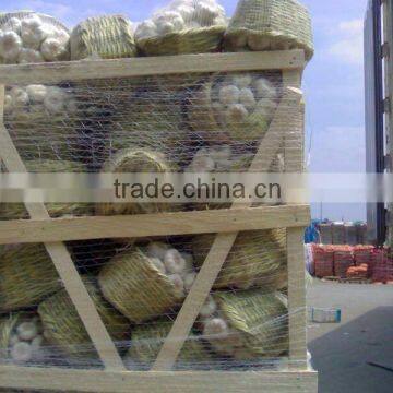 FRESH GARLIC FROM EGYPT WITH BEST PRICE FOR EXPORT