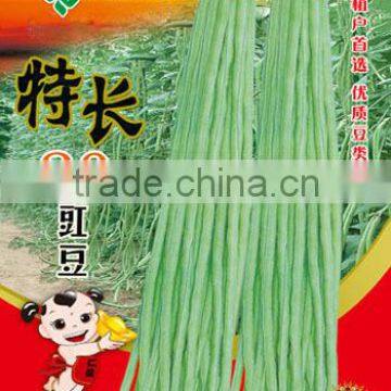 Early Maturity Super Long Chinese Green Noodle Beans Seeds/Climbing Bean Seeds For Sowing