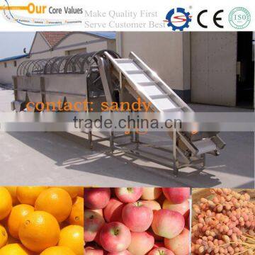 Hot sale fruit grader for sale