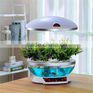 acrylic round fish tank