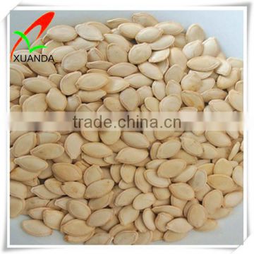 Wholesale pumpkin seed shine skin market price