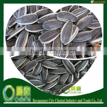 Wholesale 24/64 Hulled High Quality Sunflower Seeds Inner Mongolia China