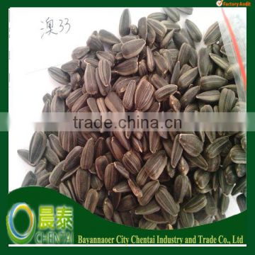 High Oleic Sunflower Oil Seeds 033