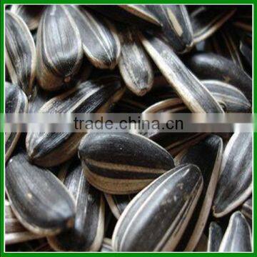 Sale 363 Spiced Sunflower Seeds With Great Taste