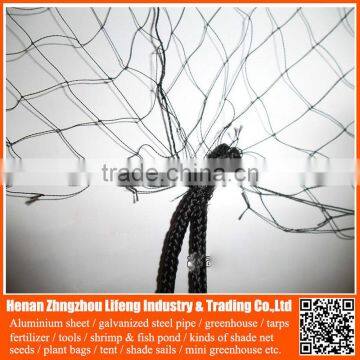 PE defence bird net , plastic anti bird netting , nylon netting fabric for catching birds