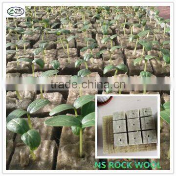 Rockwool Cubes for Germination /plant Propagation photo-3
