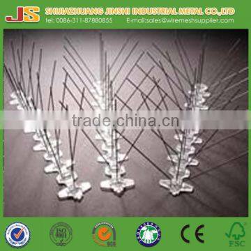 Factory bird control stainless steel spike uv and pc basement anti bird spikes